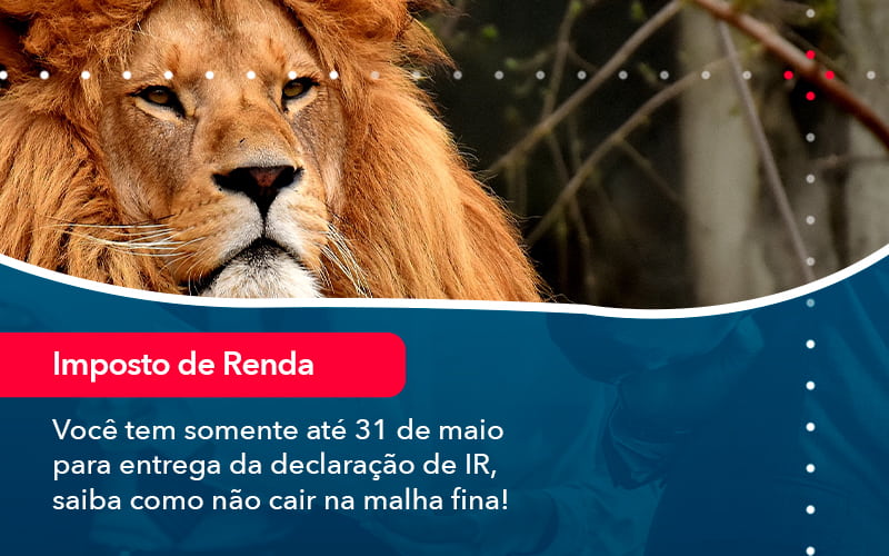 Voce Tem Somente Ate 31 De Maio Para Entrega Da Declaracao De Ir Saiba Como Nao Cair Na Malha Fina (1) - Abrir Empresa Simples